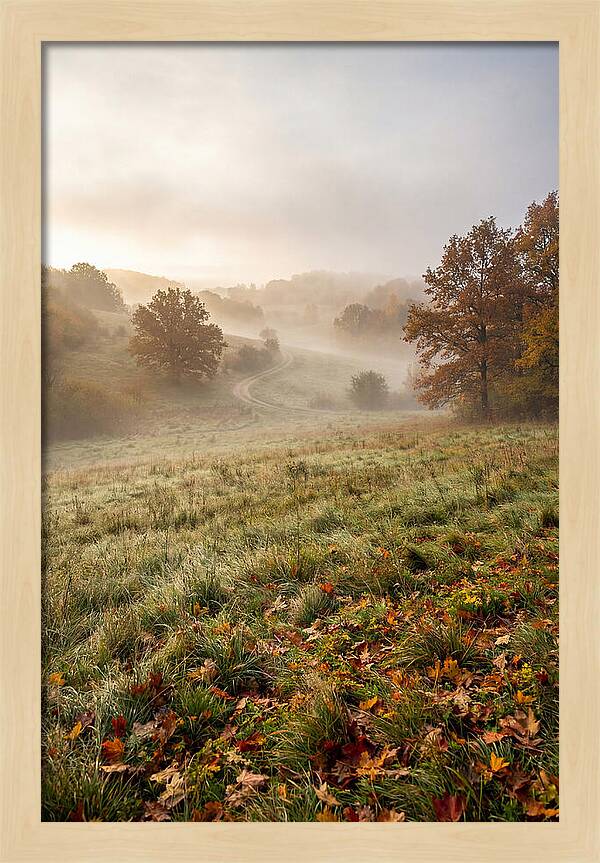Misty Autumn Morning Serenity