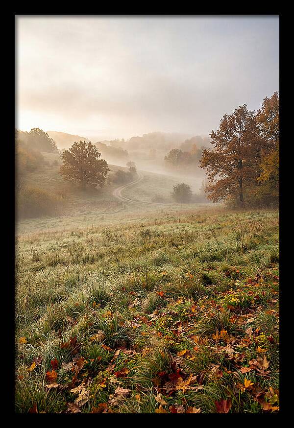 Misty Autumn Morning Serenity