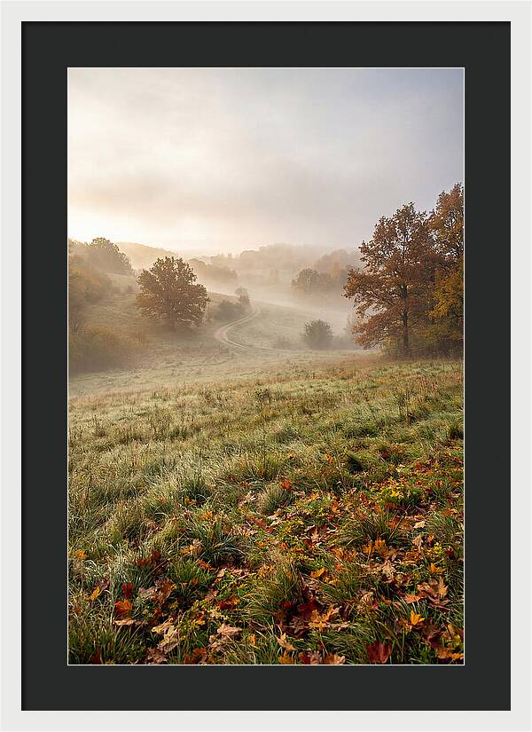 Misty Autumn Morning Serenity