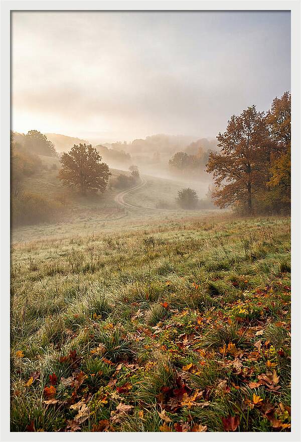 Misty Autumn Morning Serenity