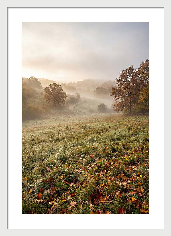 Misty Autumn Morning Serenity