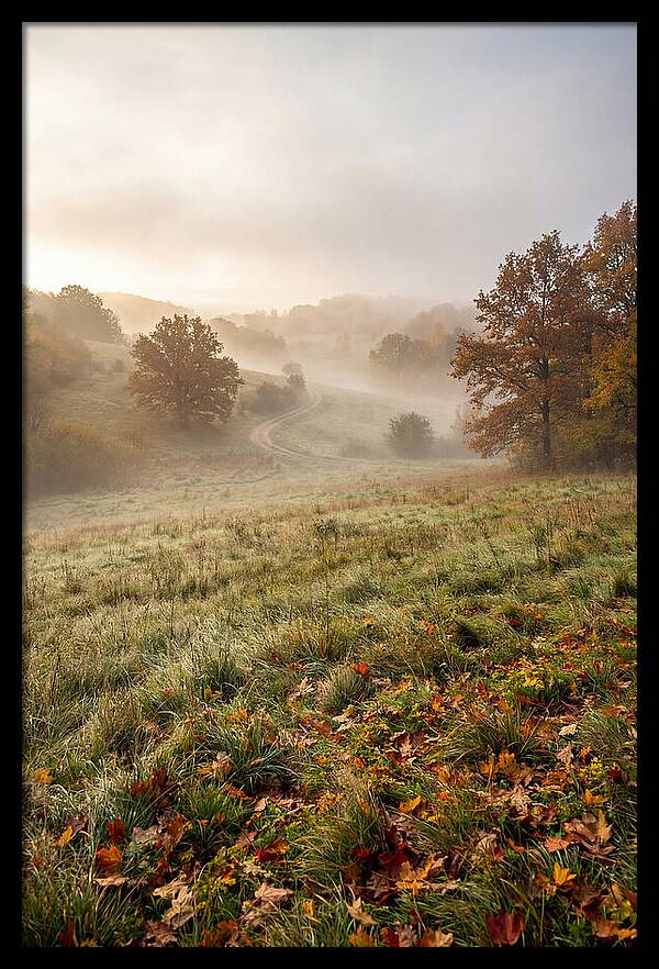 Misty Autumn Morning Serenity
