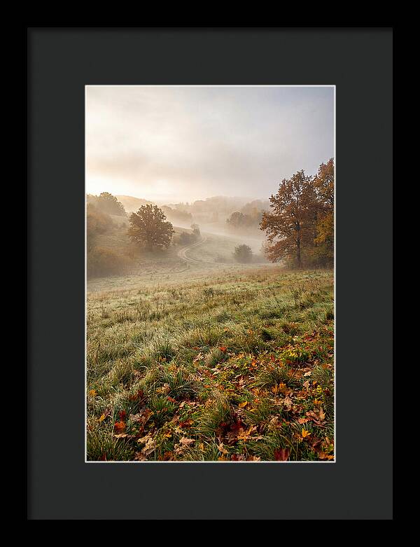 Misty Autumn Morning Serenity