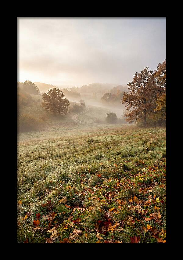 Misty Autumn Morning Serenity
