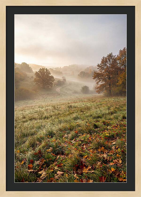 Misty Autumn Morning Serenity