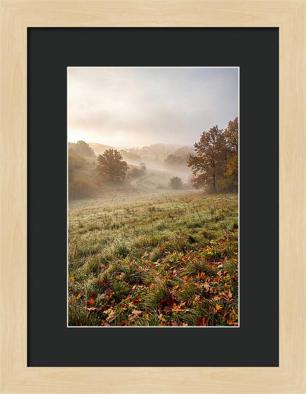 Misty Autumn Morning Serenity