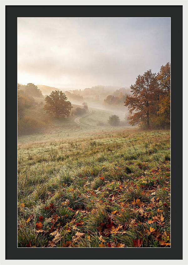 Misty Autumn Morning Serenity