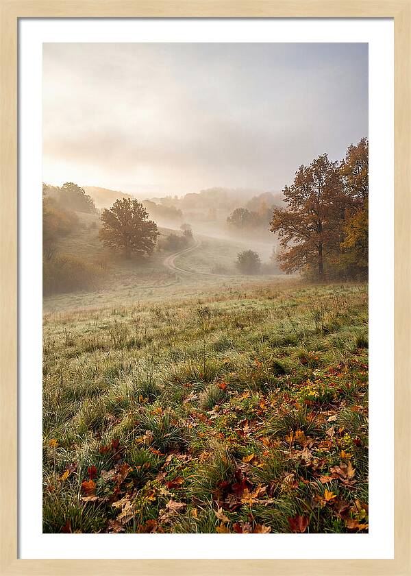 Misty Autumn Morning Serenity