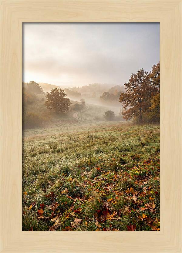 Misty Autumn Morning Serenity