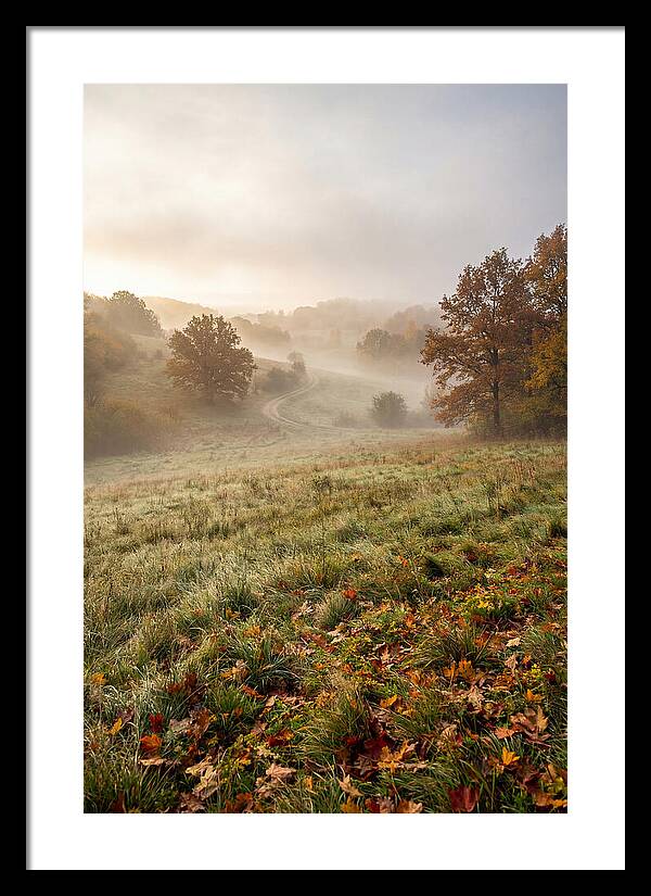 Misty Autumn Morning Serenity