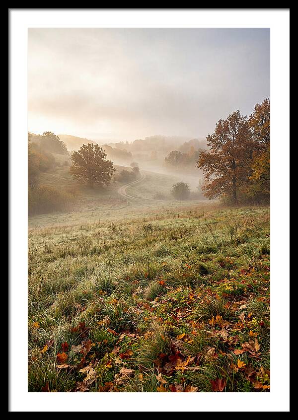 Misty Autumn Morning Serenity