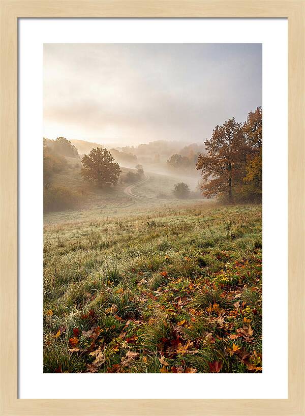 Misty Autumn Morning Serenity