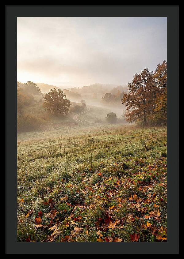 Misty Autumn Morning Serenity
