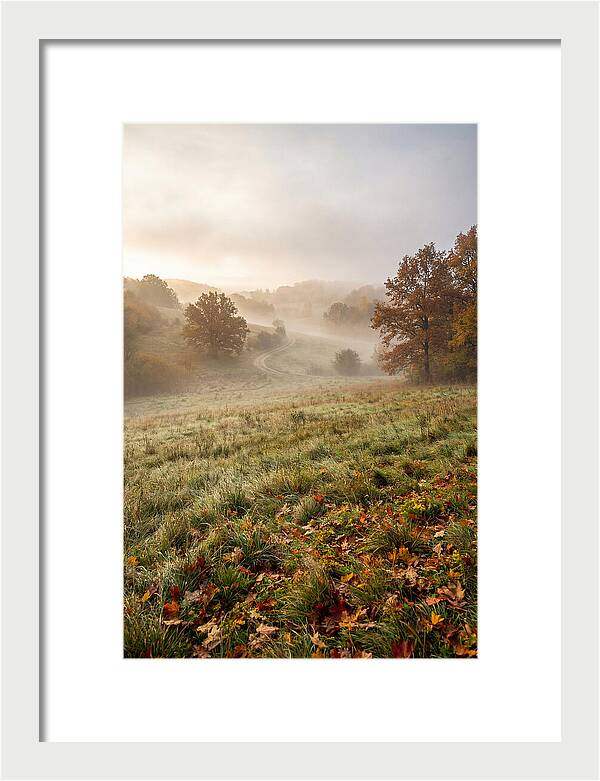 Misty Autumn Morning Serenity