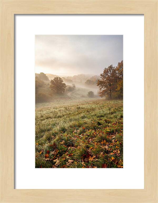 Misty Autumn Morning Serenity