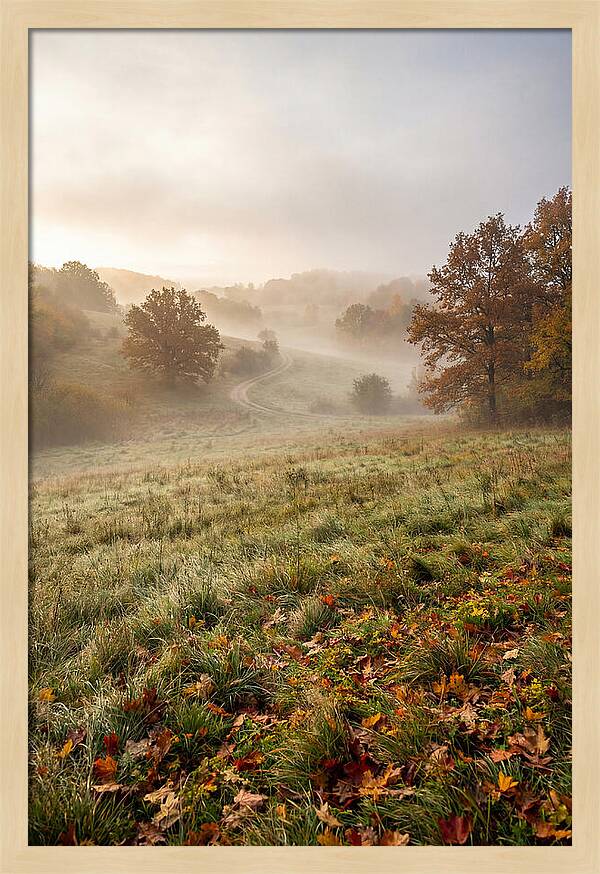 Misty Autumn Morning Serenity