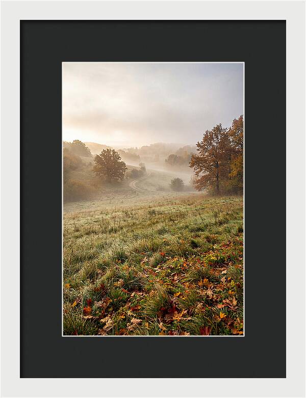 Misty Autumn Morning Serenity