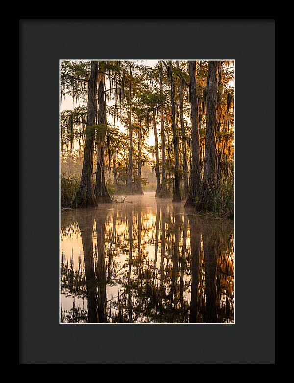 Misty Cypress Reflections