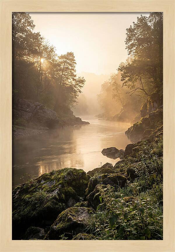 Misty Morning River Serenity