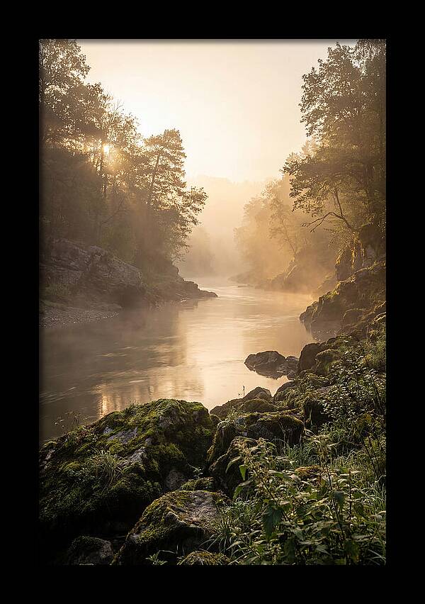 Misty Morning River Serenity