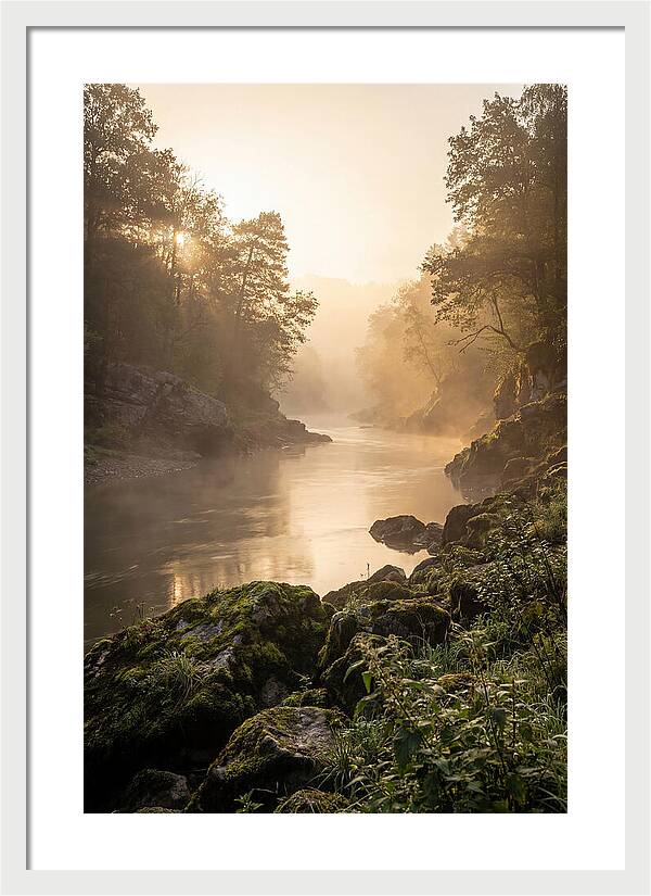 Misty Morning River Serenity