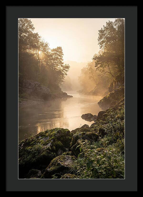 Misty Morning River Serenity