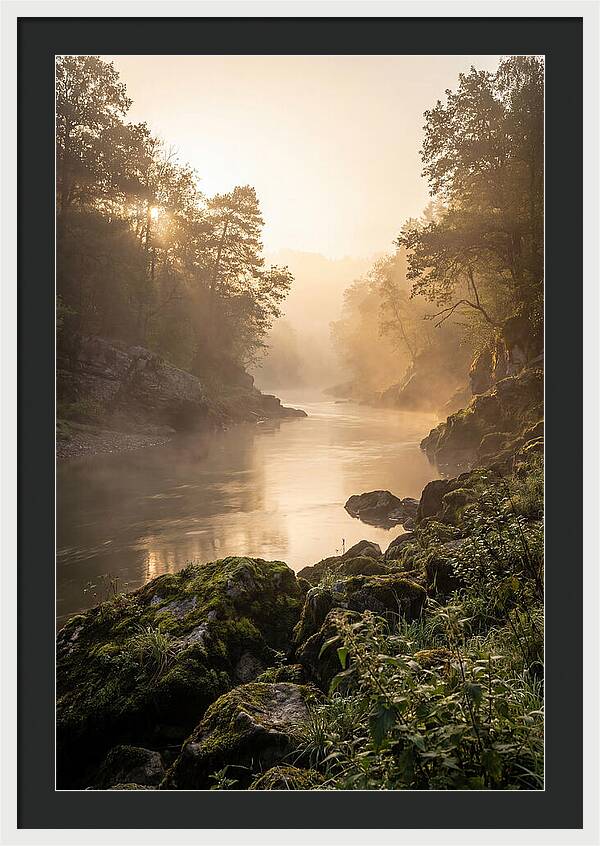 Misty Morning River Serenity