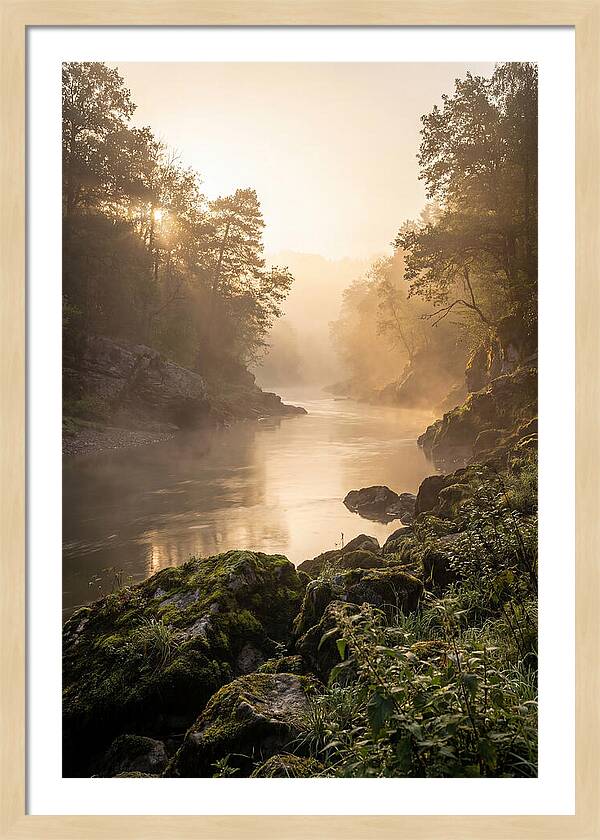 Misty Morning River Serenity