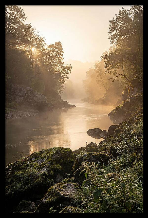 Misty Morning River Serenity