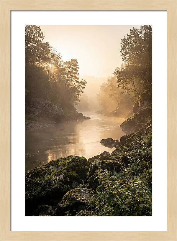 Misty Morning River Serenity