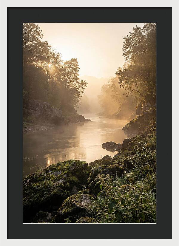 Misty Morning River Serenity