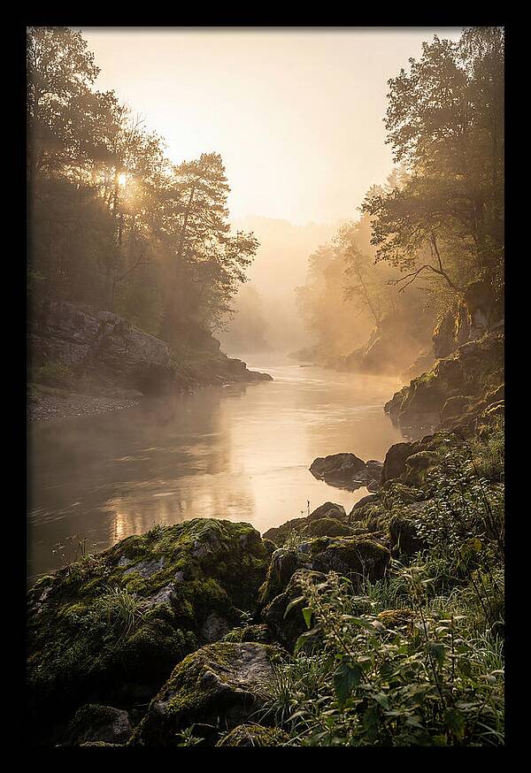 Misty Morning River Serenity