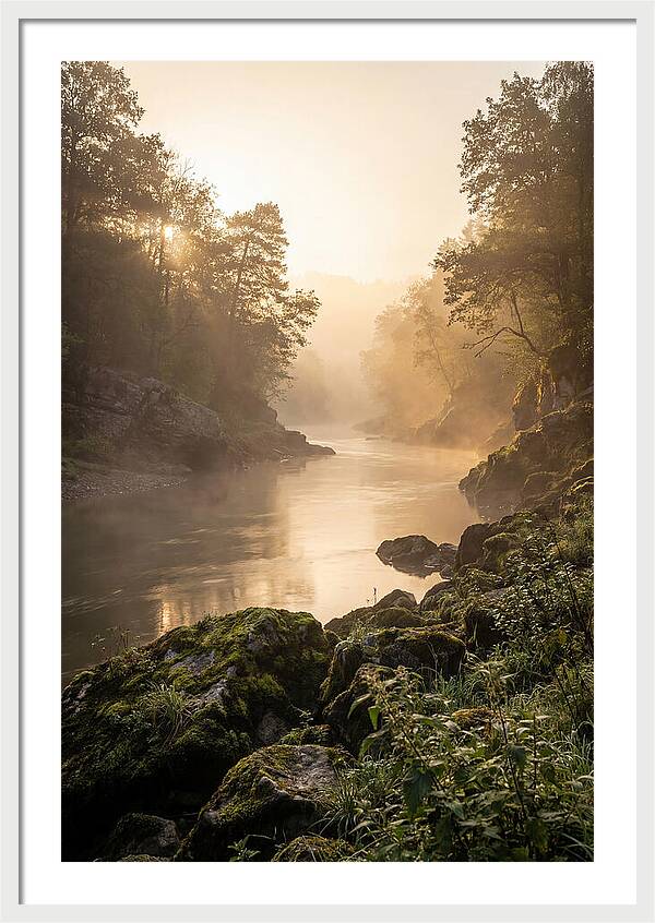 Misty Morning River Serenity