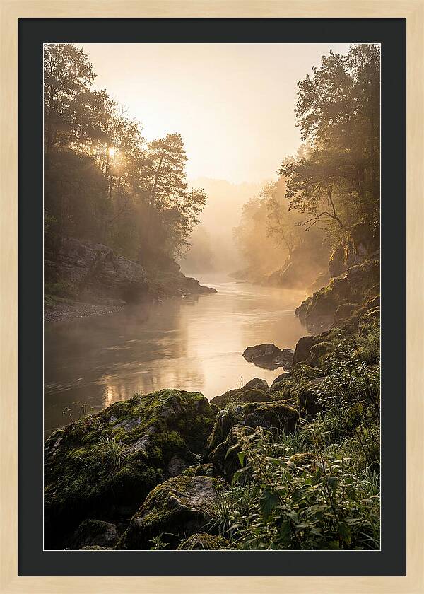 Misty Morning River Serenity