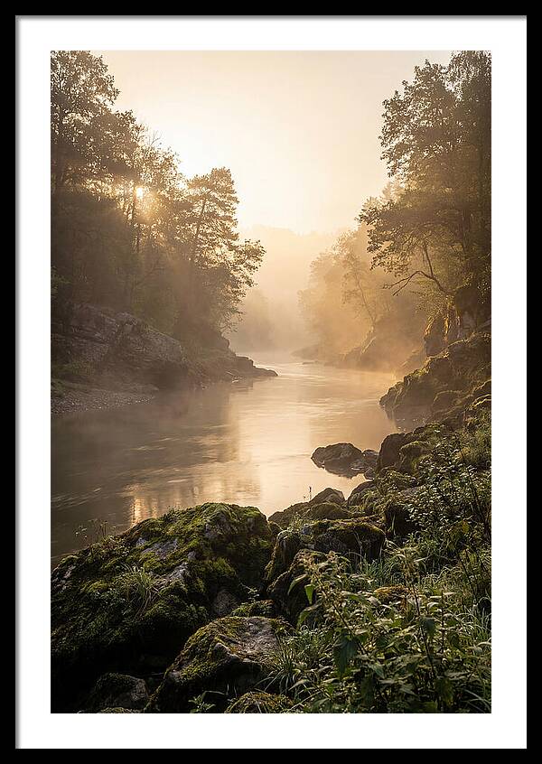 Misty Morning River Serenity
