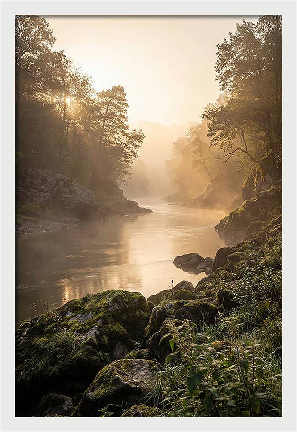 Misty Morning River Serenity