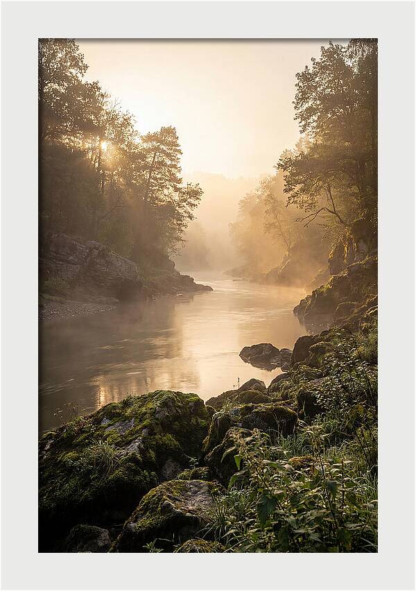 Misty Morning River Serenity