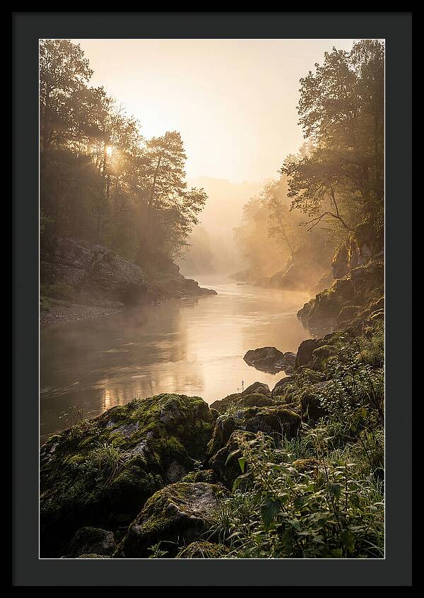 Misty Morning River Serenity