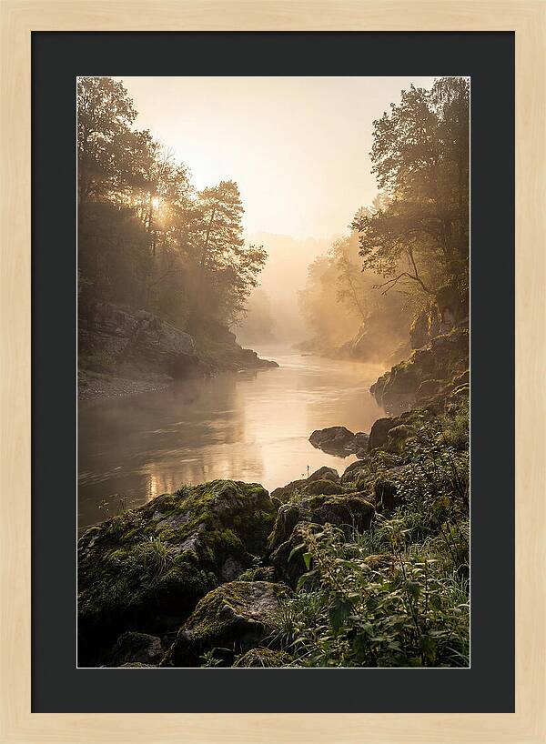 Misty Morning River Serenity