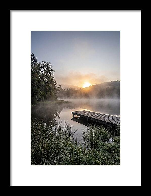 Misty Morning Serenity