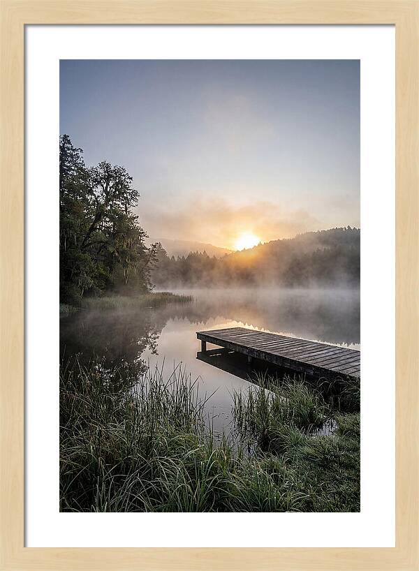 Misty Morning Serenity