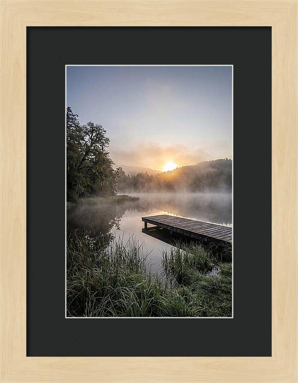 Misty Morning Serenity