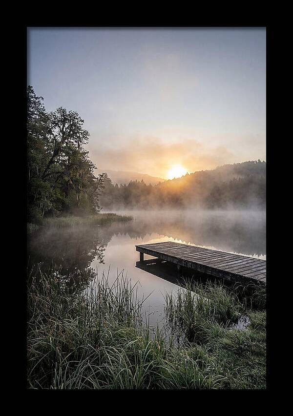 Misty Morning Serenity