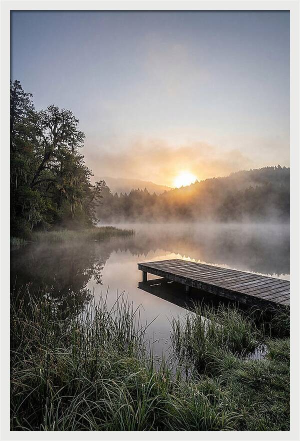Misty Morning Serenity