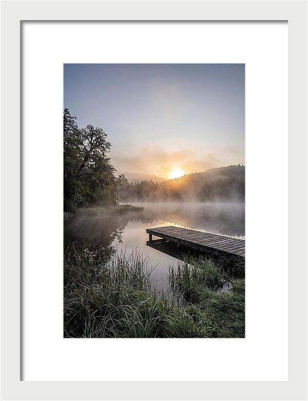 Misty Morning Serenity