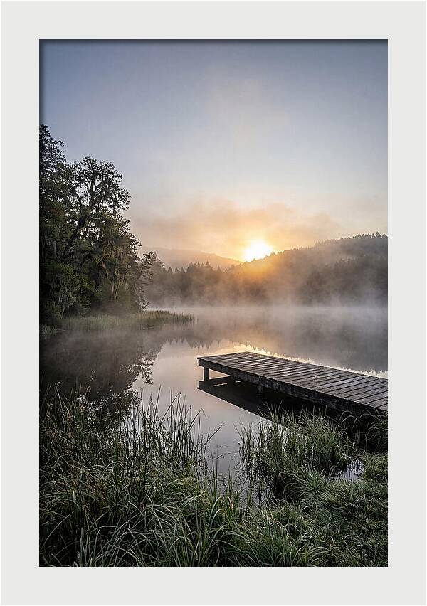 Misty Morning Serenity