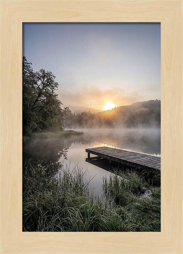 Misty Morning Serenity