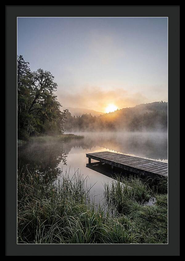 Misty Morning Serenity