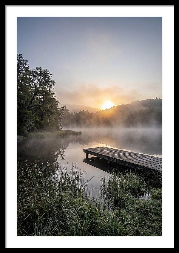 Misty Morning Serenity