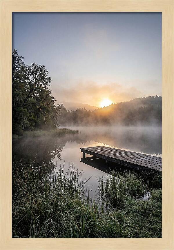 Misty Morning Serenity